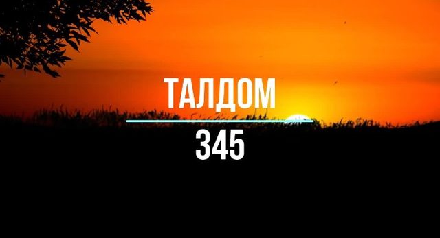 ТАЛДОМ 345